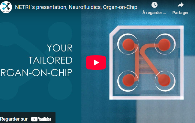 NETRI 's presentation, Neurofluidics, Organ-on-Chip