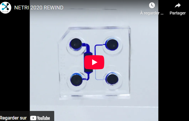 NETRI 2020 REWIND