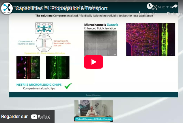 [2023] Capabilities #1 Propagation & Transport