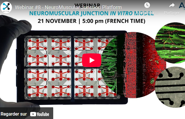 [2024] Webinar #8 - NeuroMuscular Junction Platform