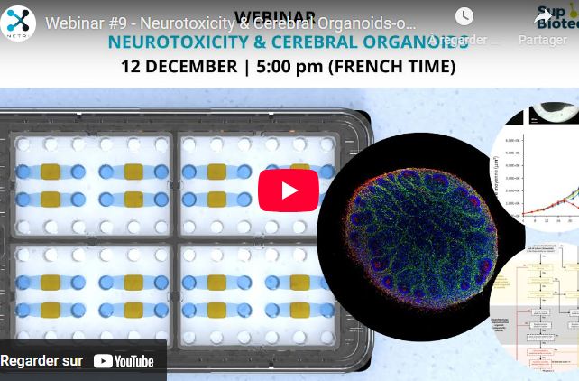 [2024] Webinar #9 - Neurotoxicity & Cerebral Organoids-on-chip