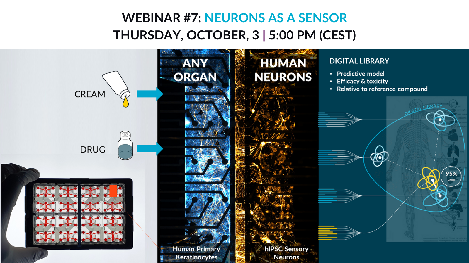 [2024] Webinar #7 - Neurons A Sensor