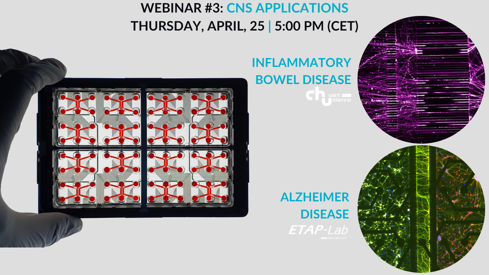 [2024] Webinar #3 - CNS Applications