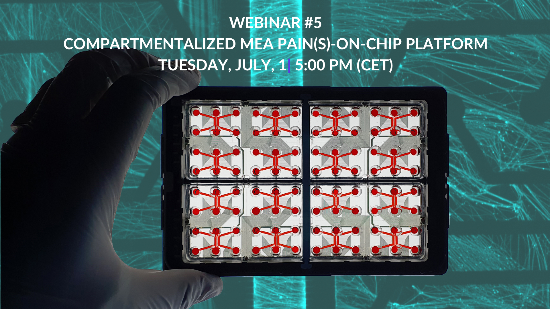 [2024] Webinar #5 - Compartmentalized MEA Pain-on-chip platform